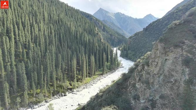 一次偶然，铸就永恒，十年驴龄的他“长存”于此-乌孙驴行记