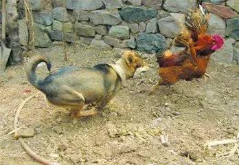 小学语文五年级成语大全,小学语文1-6年级必考成语