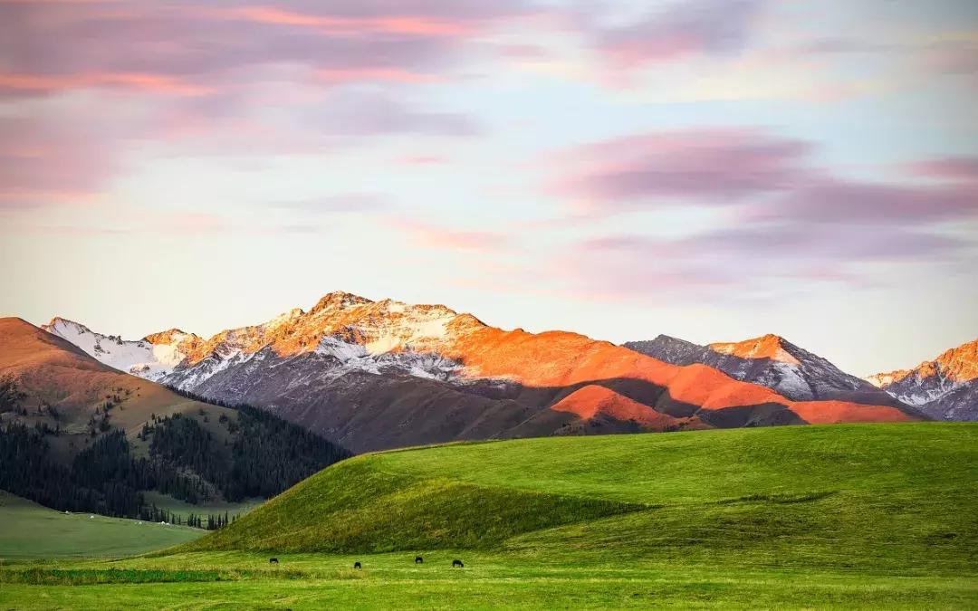 生活很苦不如出来走走,生活很苦想出去走走