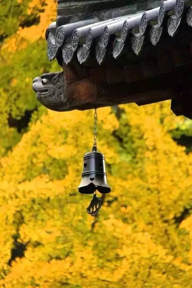 这些绝美小黄片,已经陆续在全国上线,找个时间去扫黄吧