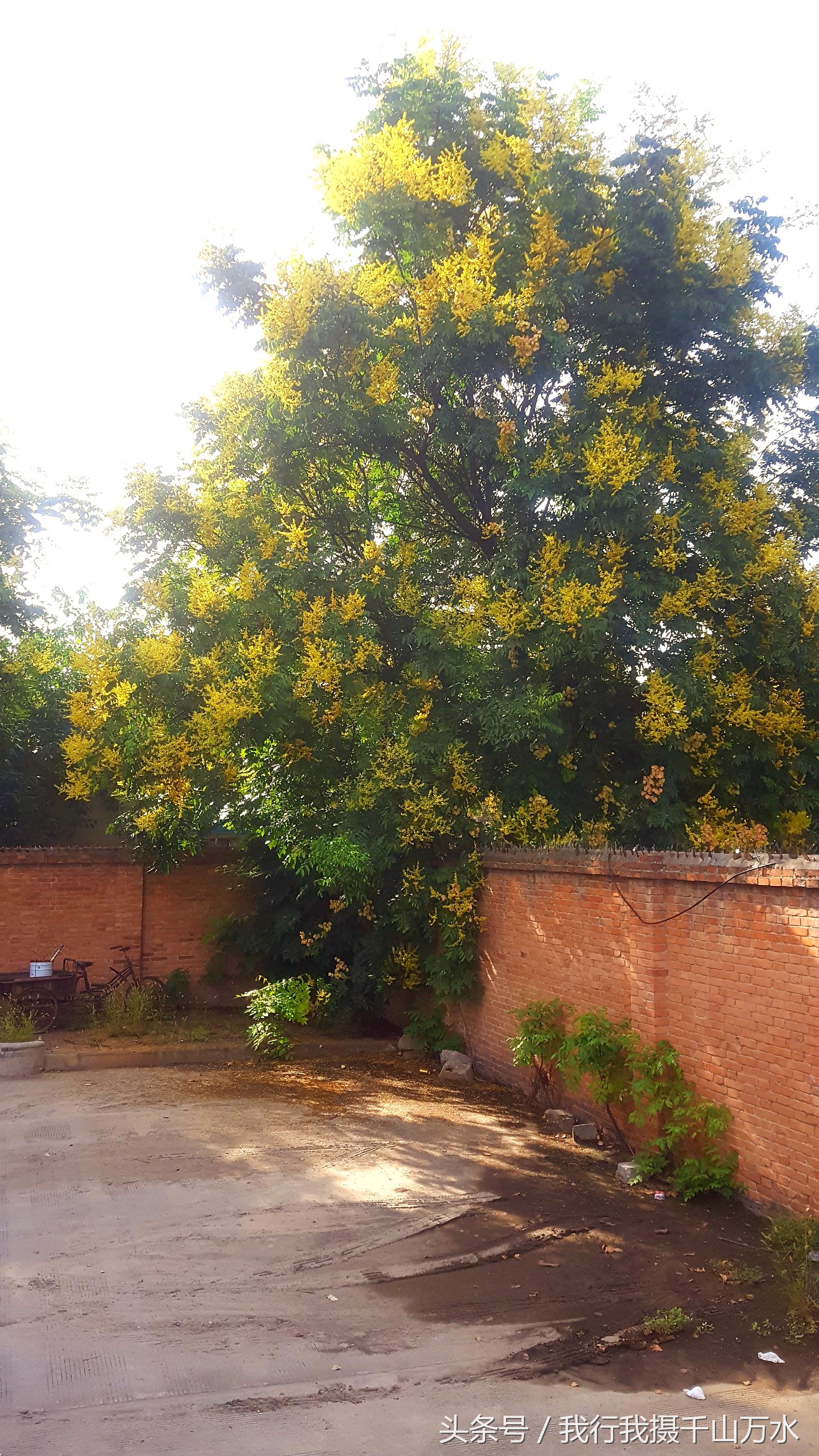 民间健身及尽享足球之乐的好场所——西安西光厂体育场