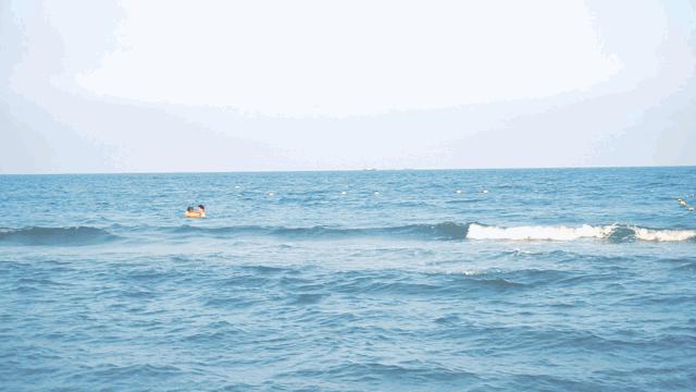 北戴河五大网红地标打卡游攻略,北戴河湿地公园网红打卡地
