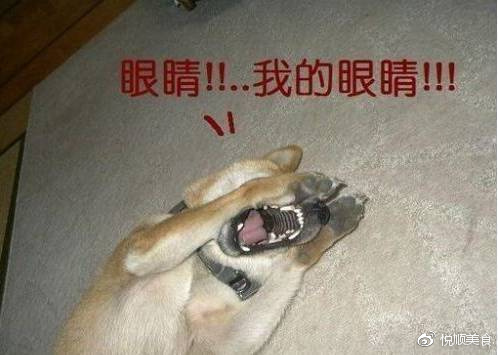 大学很美好？怕你是忘了食堂这茬吧，盘点下那些奇葩菜，奇葩标语