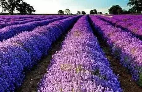 江苏省连云港地图高清版大图,连云港海地图怎么画