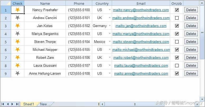 葡萄城spreadjs教程,spreadjs表格组件
