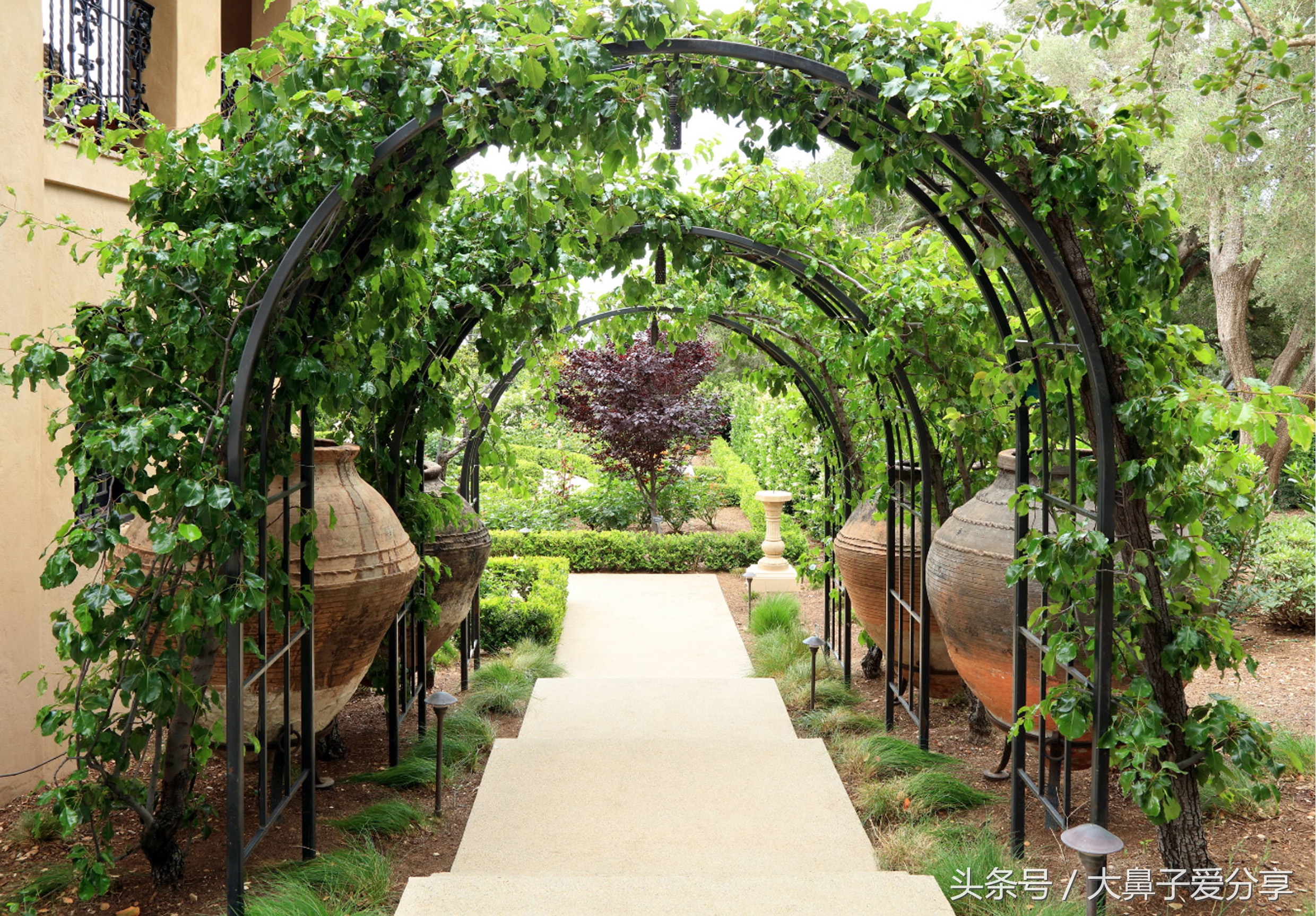 花架户外庭院多层2000cm,庭院花架放哪里最好