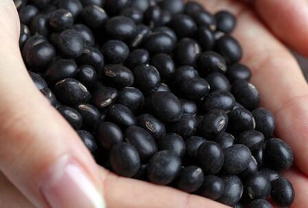 湿气的“克星”找到了，一把黑豆吃几天，不花1分钱，祛除湿气！
