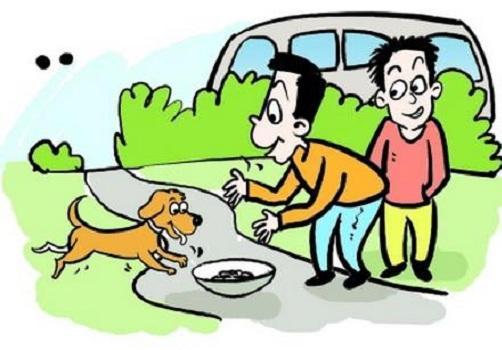 小偷进我家被我家狗咬伤要担责吗,贼进家偷东西被狗咬伤要负责吗