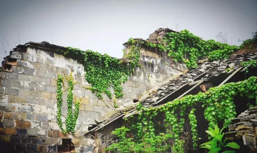 宜昌董市古镇,枝江市古镇