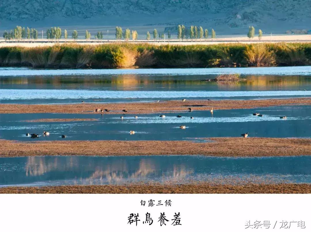 今天白露喝什么汤好,今天白露吃什么饭好呢