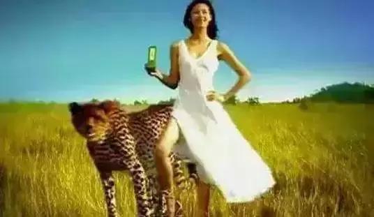 这些广告你都看过吗？