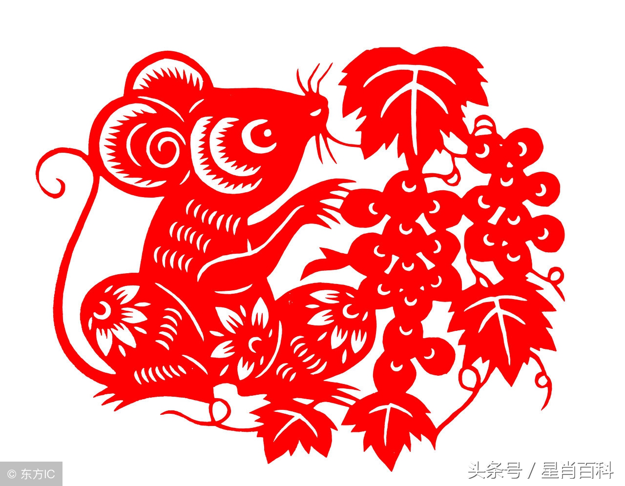 怎样佩戴十二生肖守护佛,吉祥物怎么戴身上不会掉