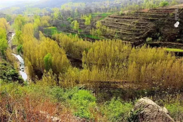 禹州磨街几个村,禹州市磨街乡磨街村