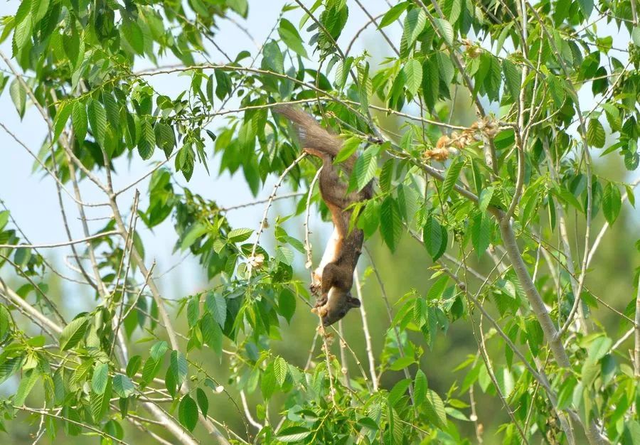 禹州磨街几个村,禹州市磨街乡磨街村