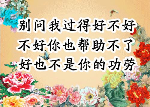 会动的图片大全大图,会动的花动态图片