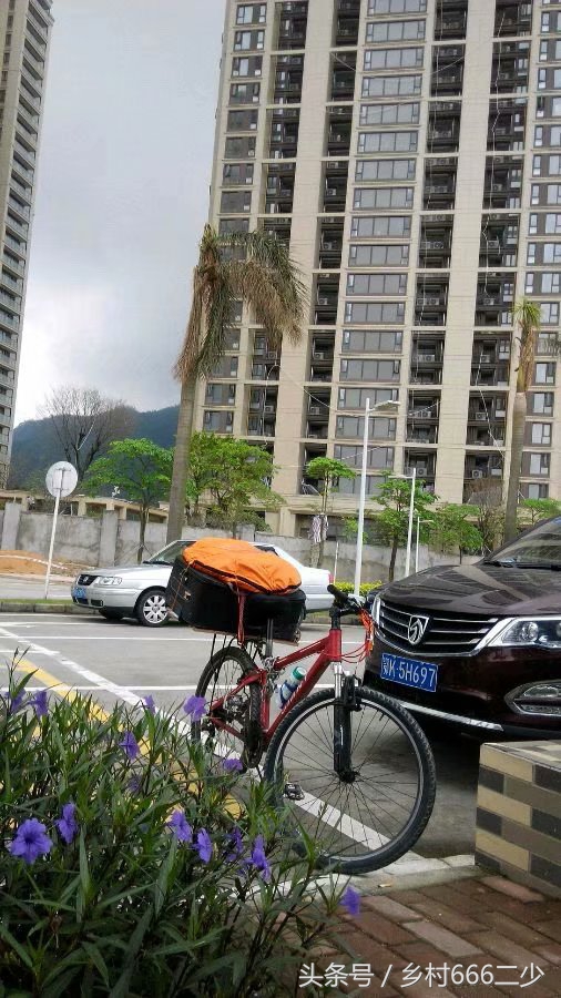 平凡之路赏析,平凡之路赏析及感悟