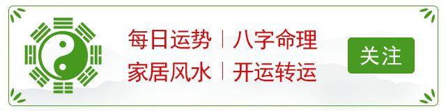 生肖鼠8月3日运势解析,猴年生肖鼠的运势如何