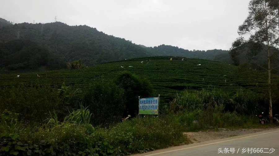 平凡之路赏析,平凡之路赏析及感悟