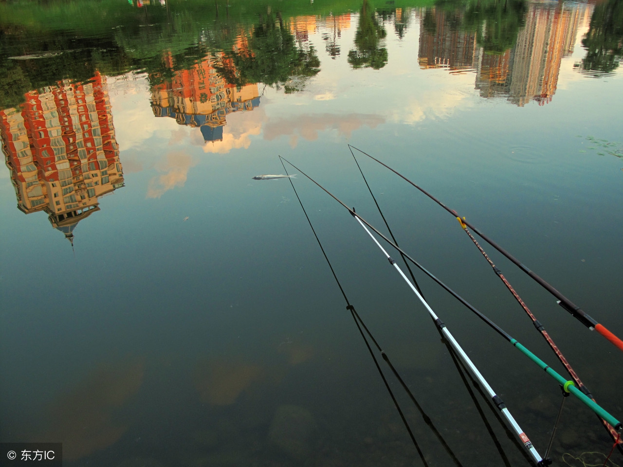 钓鱼遇到虾闹窝怎么钓虾,虾米闹窝最简单的处理方法