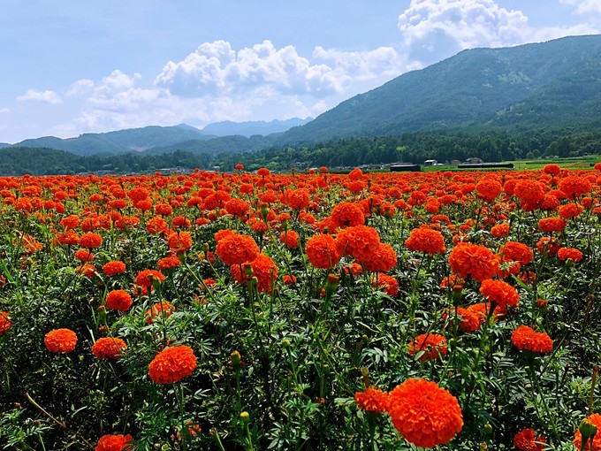 我是云南人搞笑视频,昆明大理腾冲视频