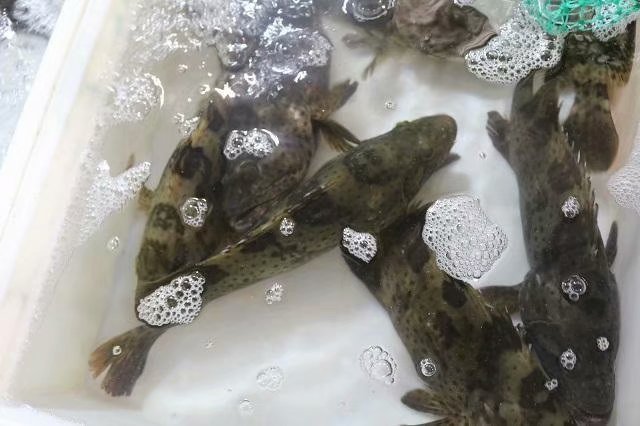 四人海口行，吃喝玩乐心情无限好