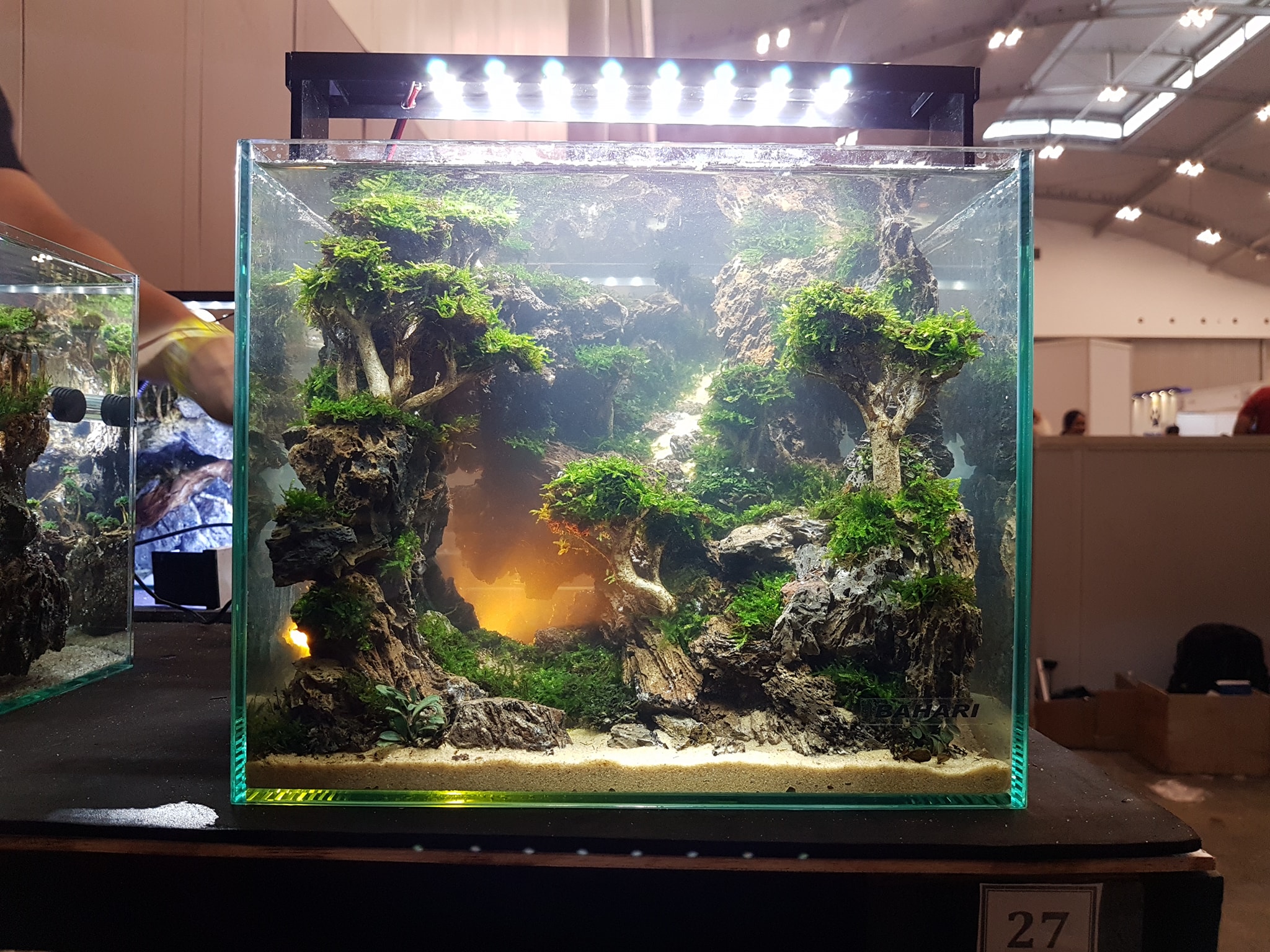 十大草缸经典造型,草缸的100种造型