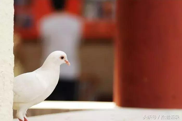 人死后去阴间的全过程，看醒了很多人！（好文）