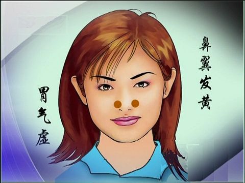 中基中诊题目,中基中诊理论知识重点