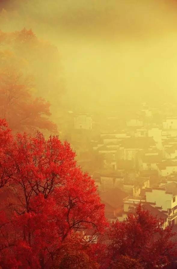 秋天最美婺源,秋季的婺源据说很美