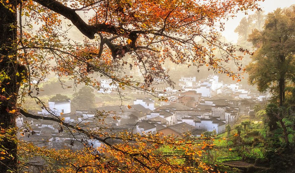 婺源的秋天真美,秋天的婺源什么时候去最美