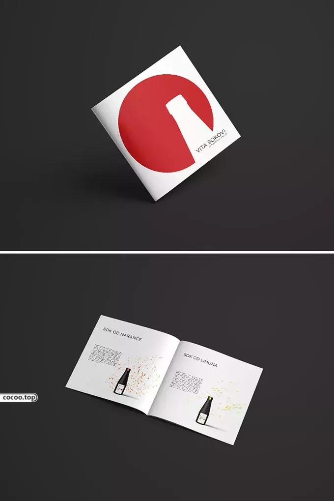 画册设计原理,探究学习项目设计流程