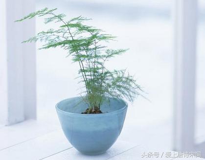 教师节赞扬老师的现代原创诗词,教师节如何用最美的诗词赞美老师