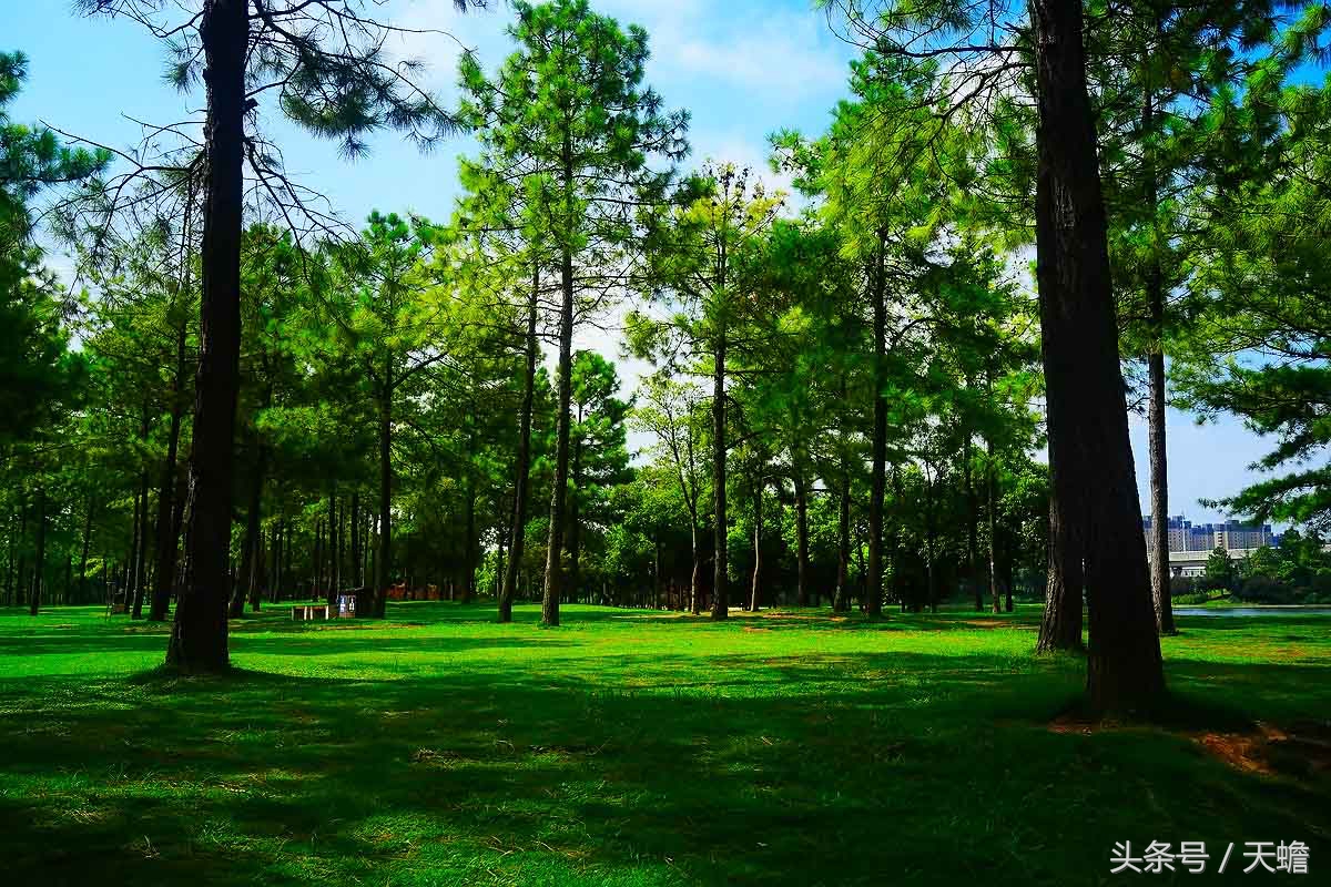 上海美兰湖,上海美兰湖别墅