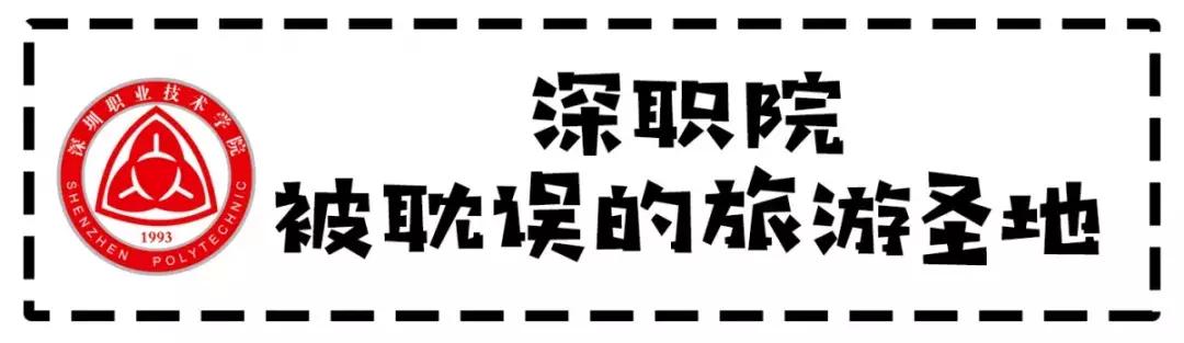 为什么深职院这么出名,深职院为什么全国第一