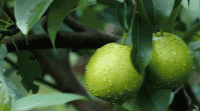 走遍中国3300个城市,走遍100个城市要多久