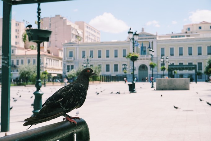 希腊生日,希腊历史旅行