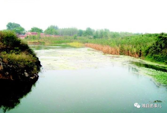 潍县有泉无?且看《寻泉记》!