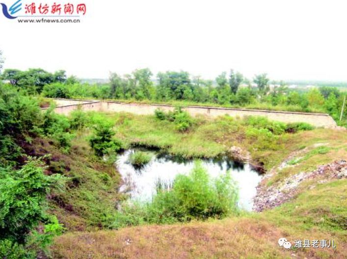 潍县有泉无?且看《寻泉记》!