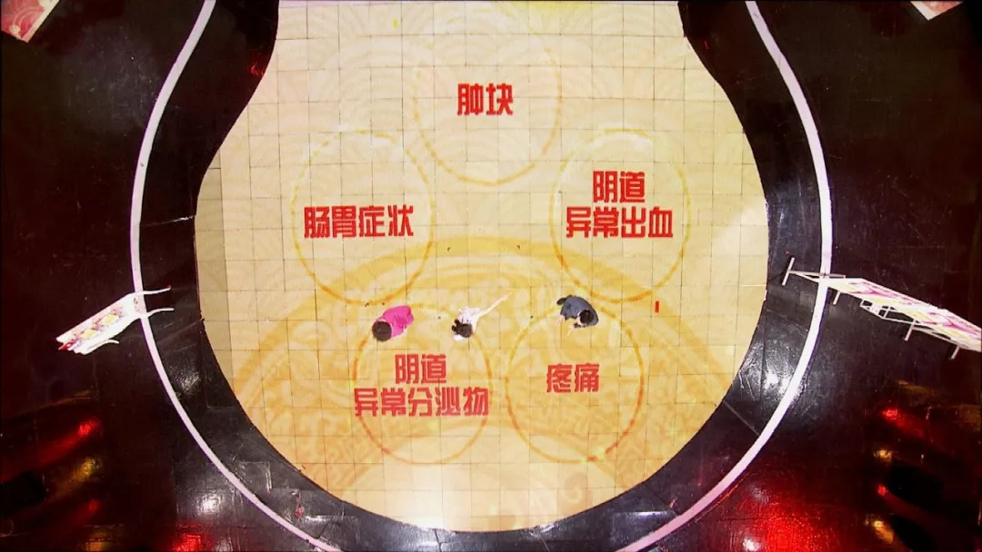 养生堂关于肺癌的节目,养生堂专家讲肿瘤