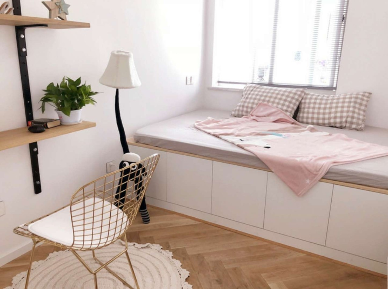 旅行博主改造北京小院,旅行爱好者装修房间