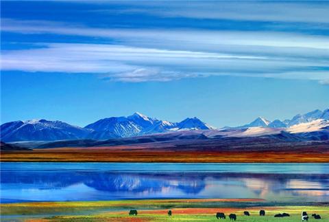 藏西的风景,藏西有哪些景点