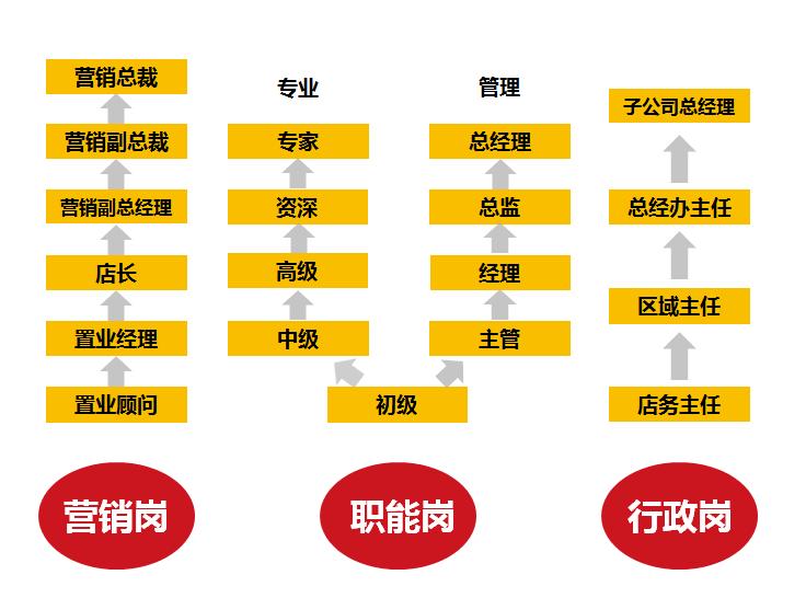 智访名企|有家的地方就有乐有家