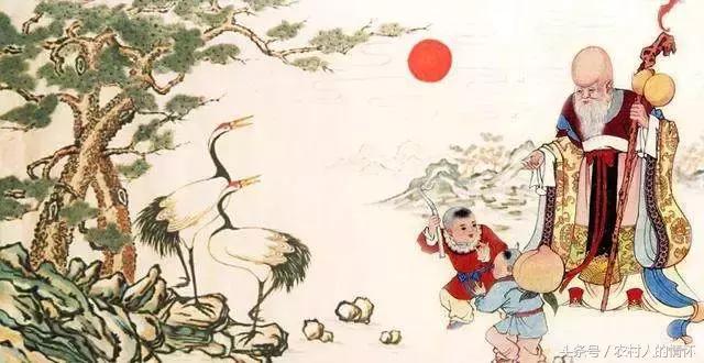 头大的神仙寿星,神仙寿星的照片