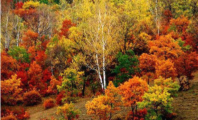 武汉春游一日游攻略,武汉最强春游攻略在此