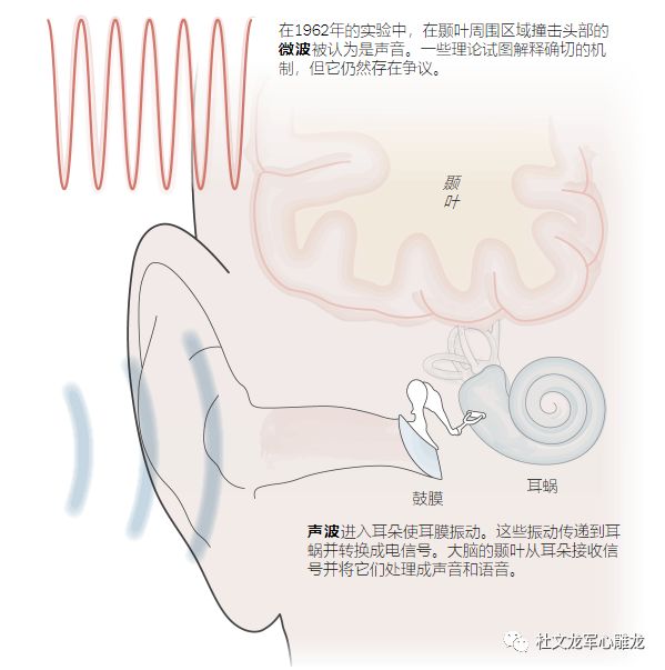 无人机+微波=新杀器？美俄冷战产物技术升级