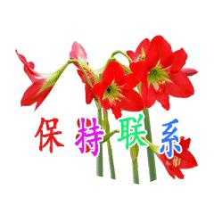 不用打字可以聊天的图片,不用打字的聊天动图