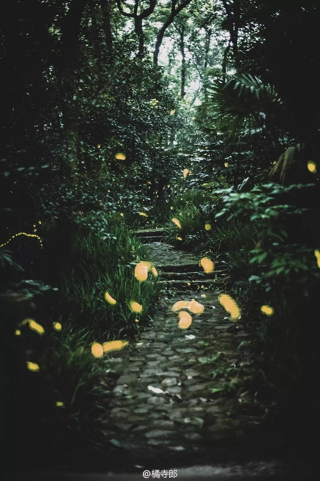 2005年的南京街头真实影像,记忆中的南京照片