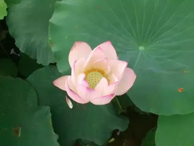 深圳出发高铁可达的古镇,深圳高铁直达的旅游景点