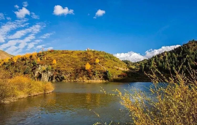 秋天甘南旅游攻略,看甘南草原风光