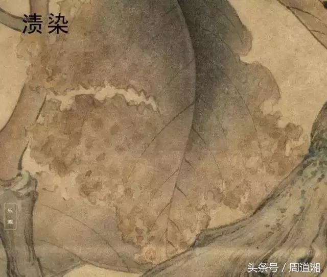 荷叶工笔画用什么方法渲染,工笔画渲染视频教程花卉